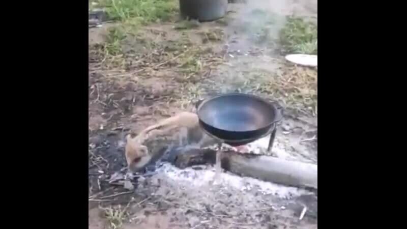 Солянка