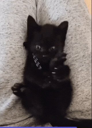 Обана, ещё две ноги