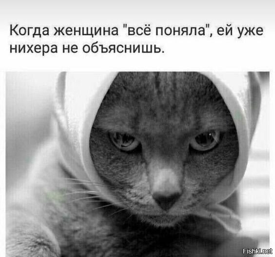 Всем привет