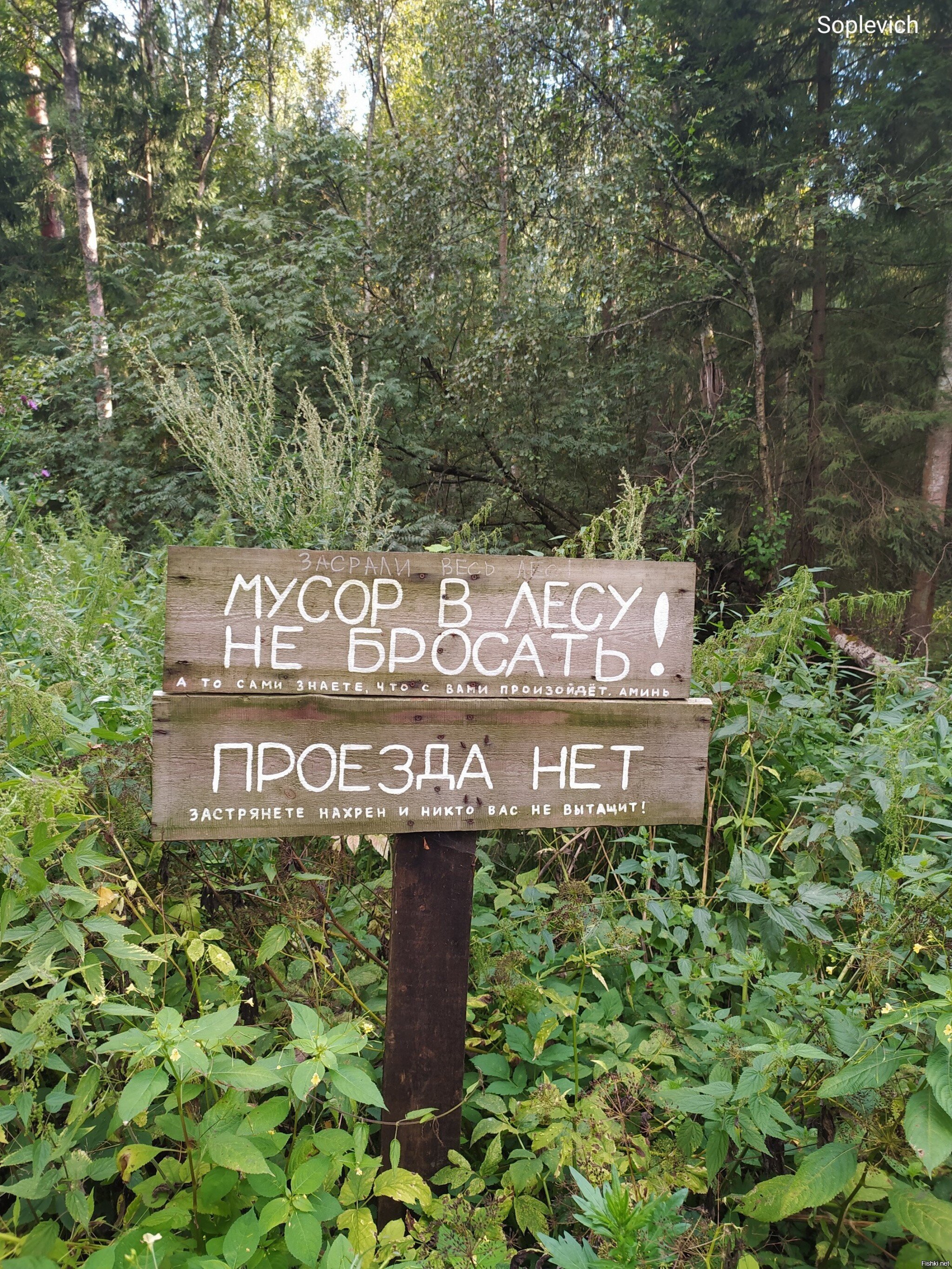 Солянка