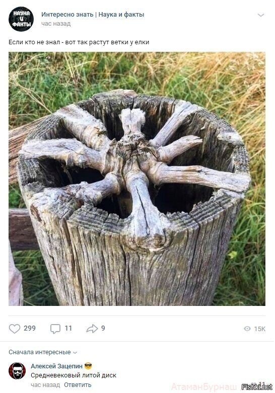 Солянка
