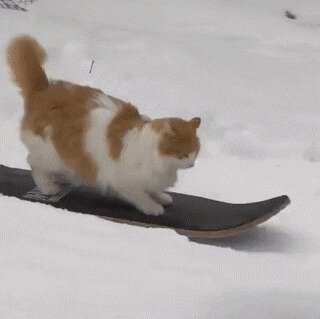 Готовь сани с лета