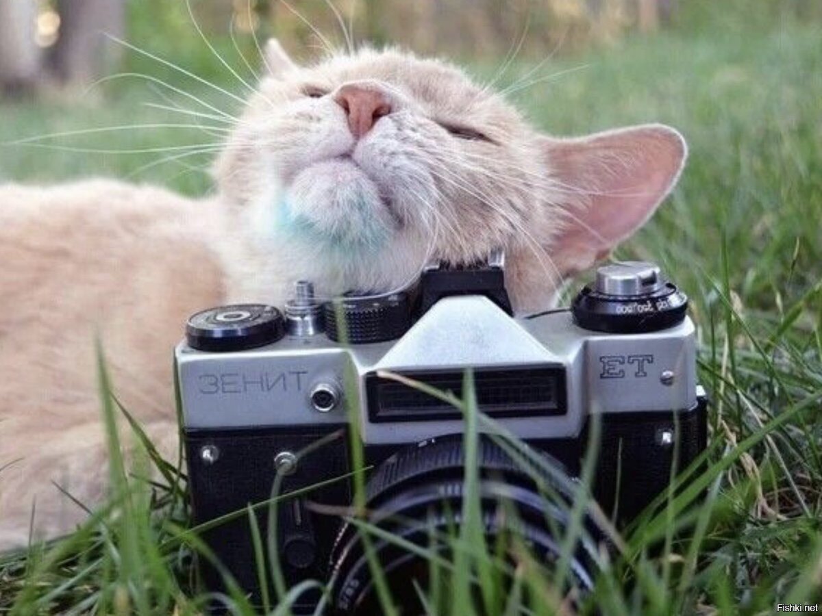 фотограф немного притомился