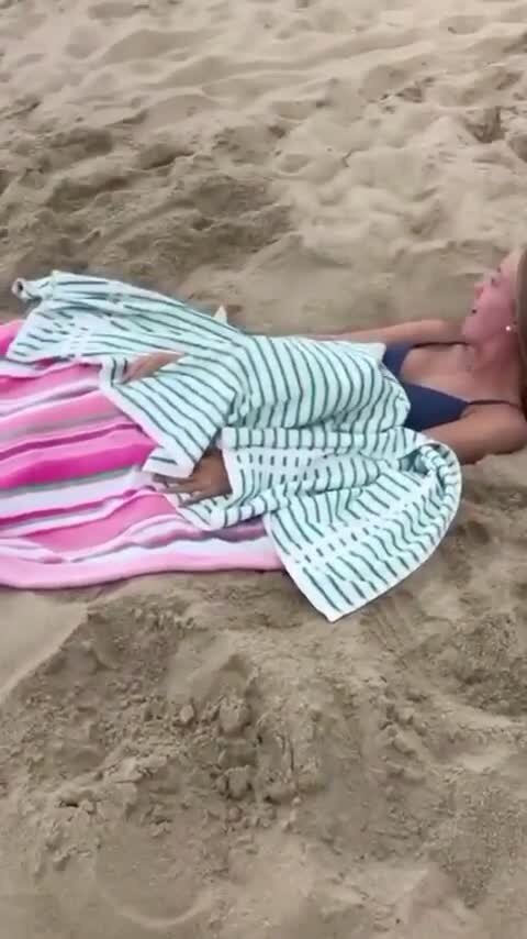 Чаек тоже можно троллить )))