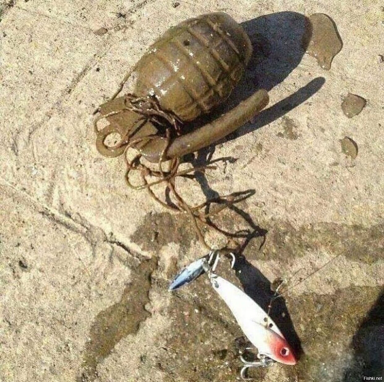 Солянка