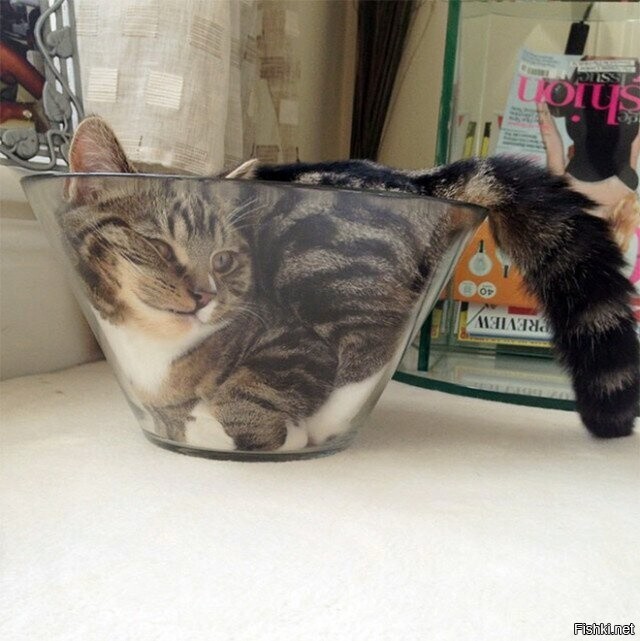 Солянка