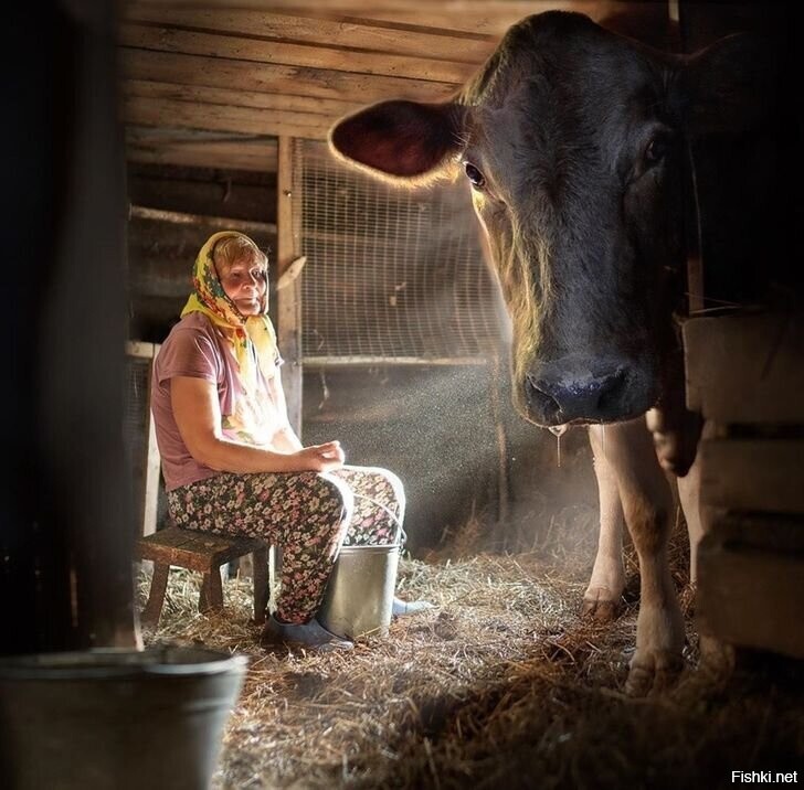 Фотка с запахом детства