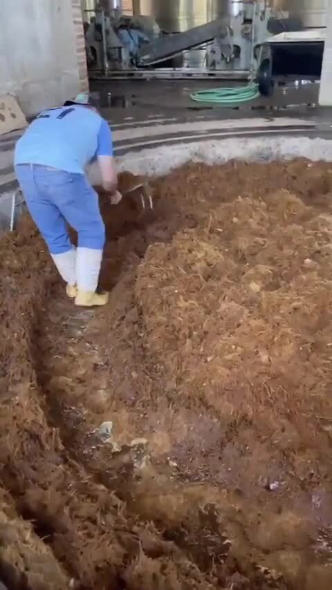 Текила