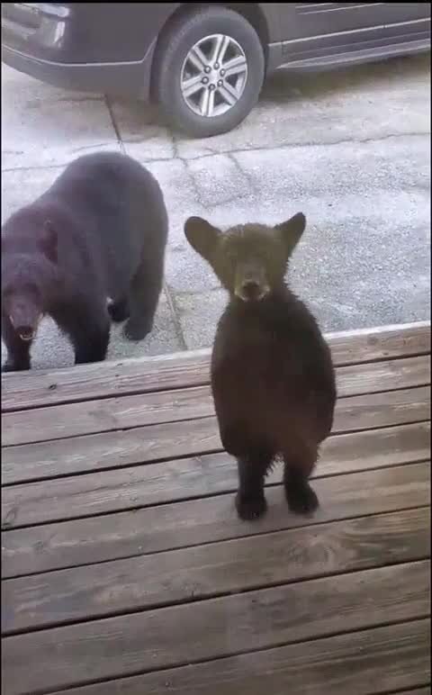 А Саня выйдет