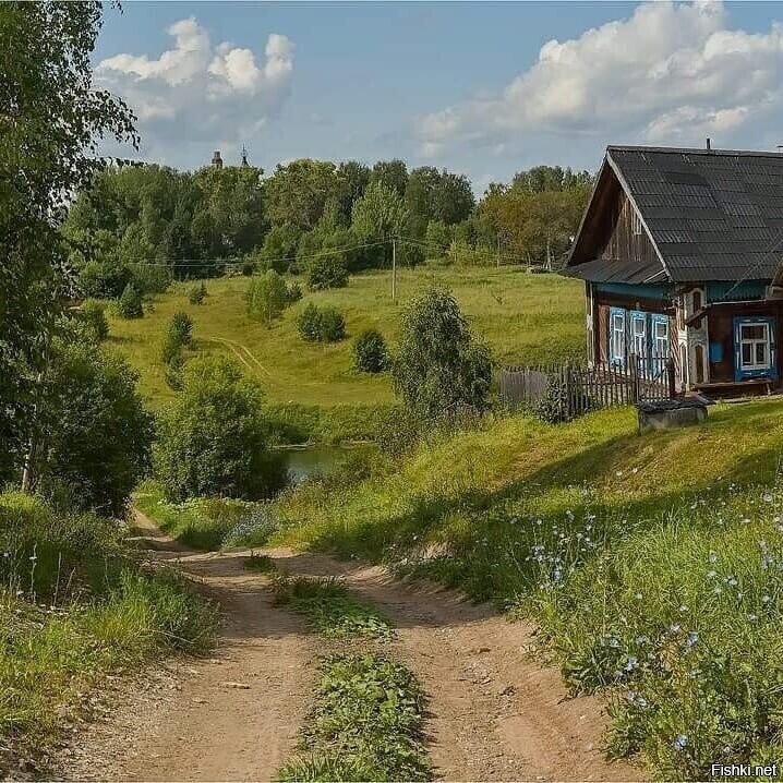 Солянка