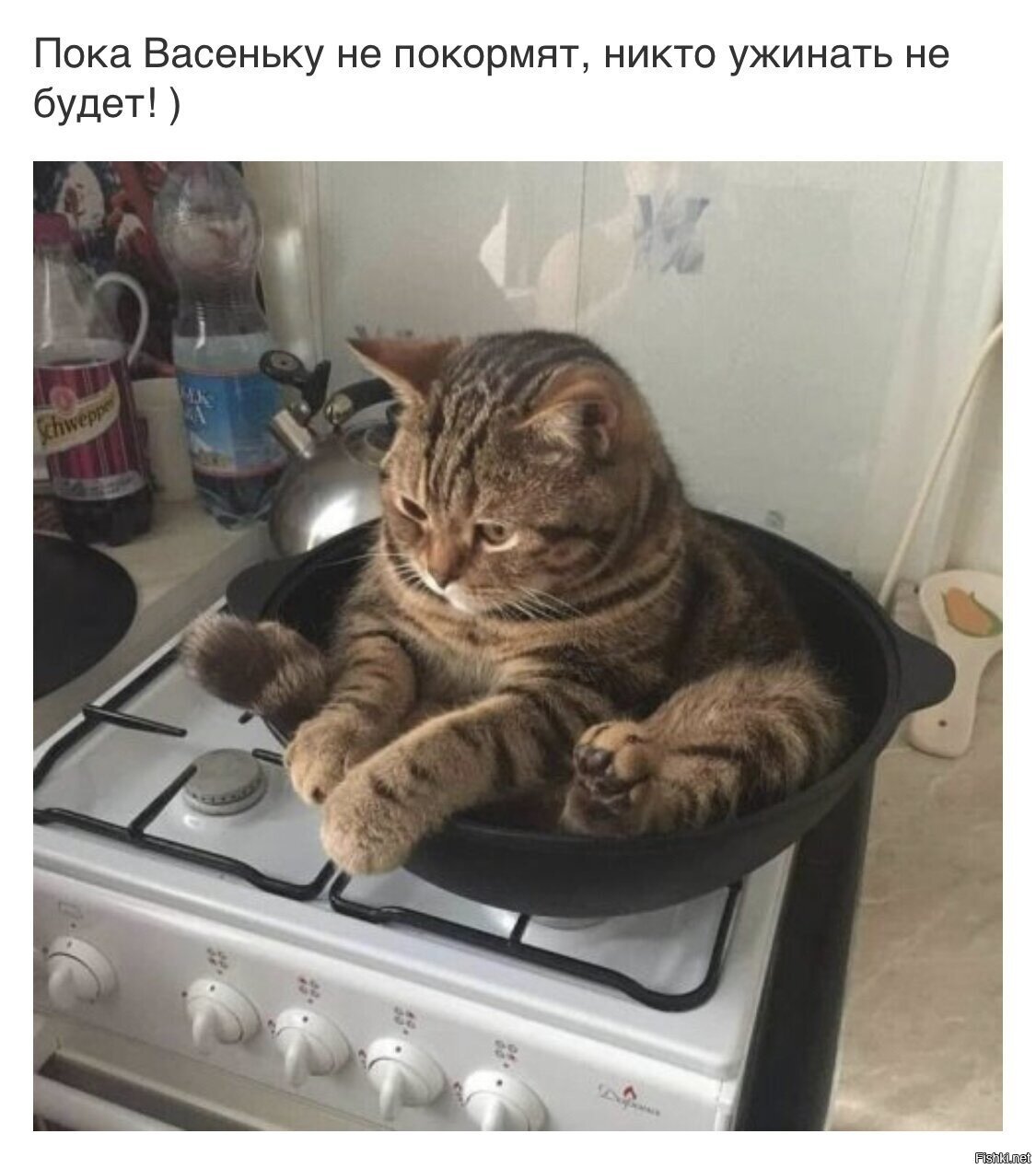 Солянка
