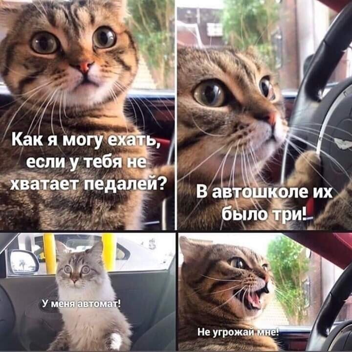 Выпускникам автошкол посвящается