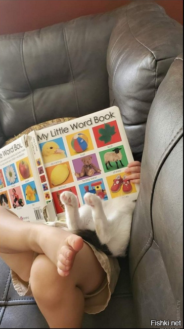 Совпадение интересов 