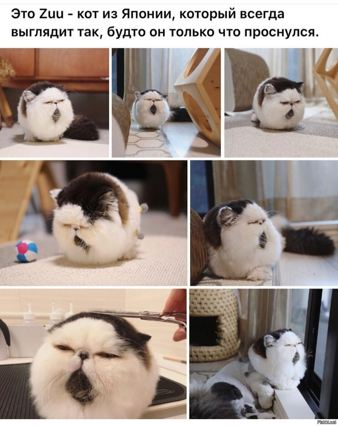Солянка