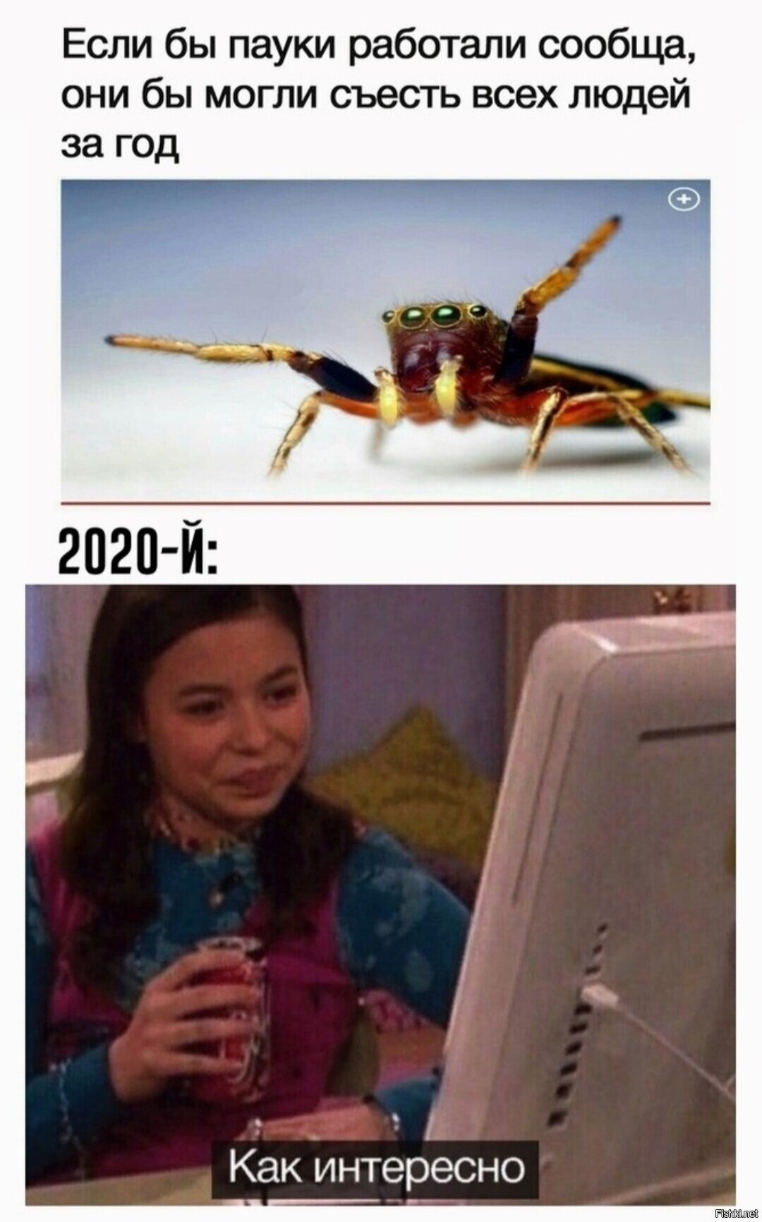 Солянка