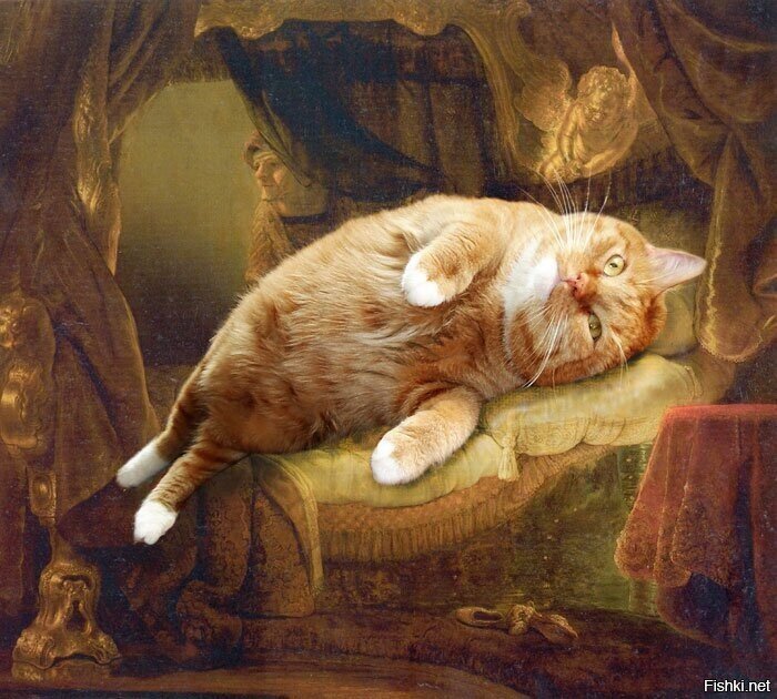 котировать/вставить