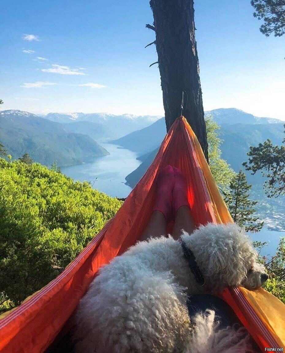 Доброе утро