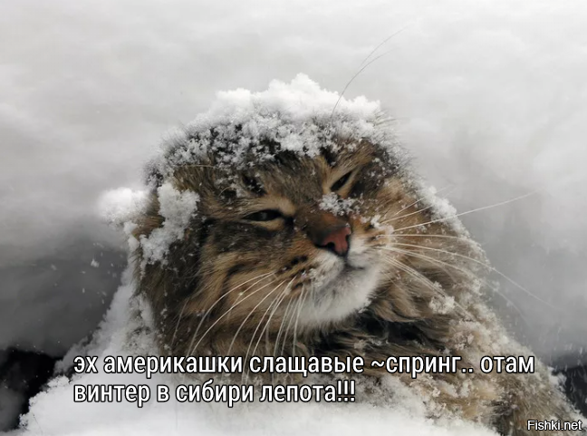 К заглавной