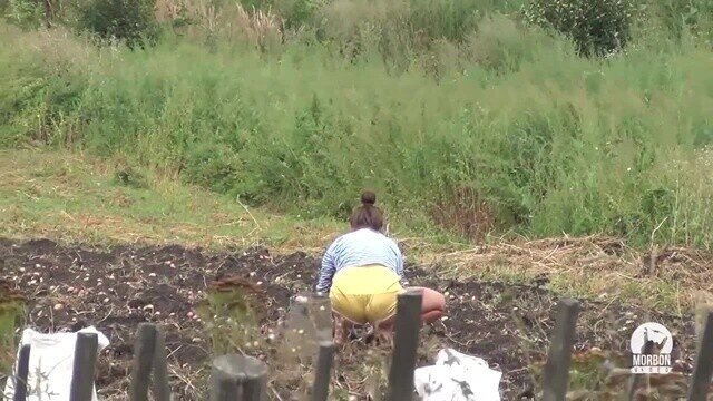 Все на картошку