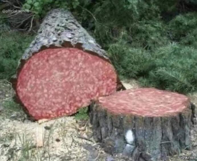 колбасное древо