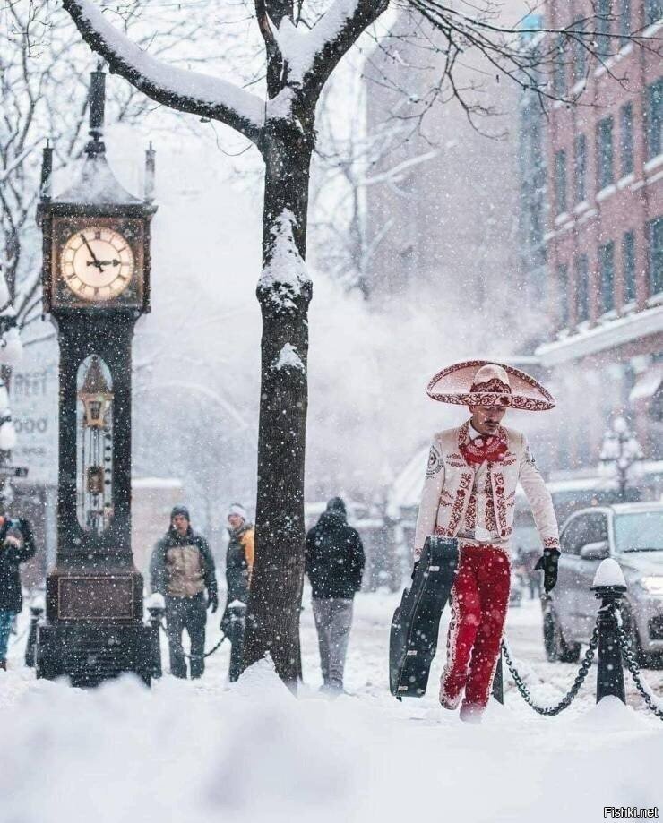 Солянка