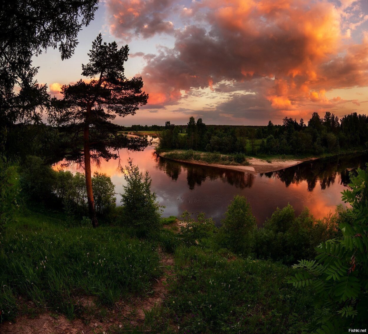 Солянка