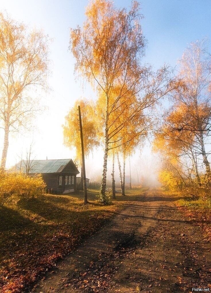 скоро
