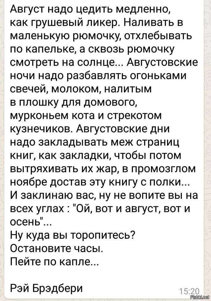 Даже добавить нечего
