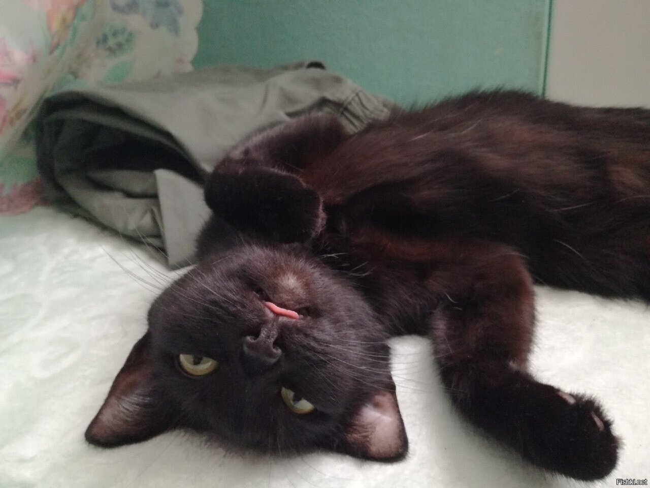 Иди хозяин работай