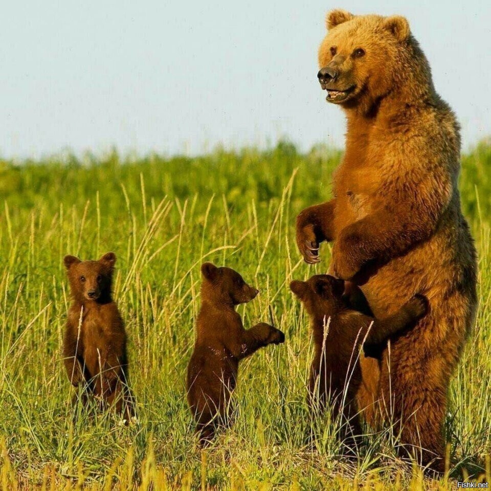 счастливая  мамаша