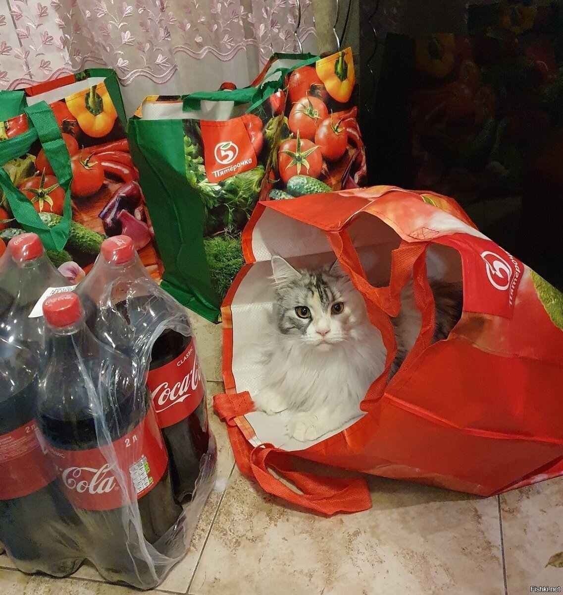 Солянка