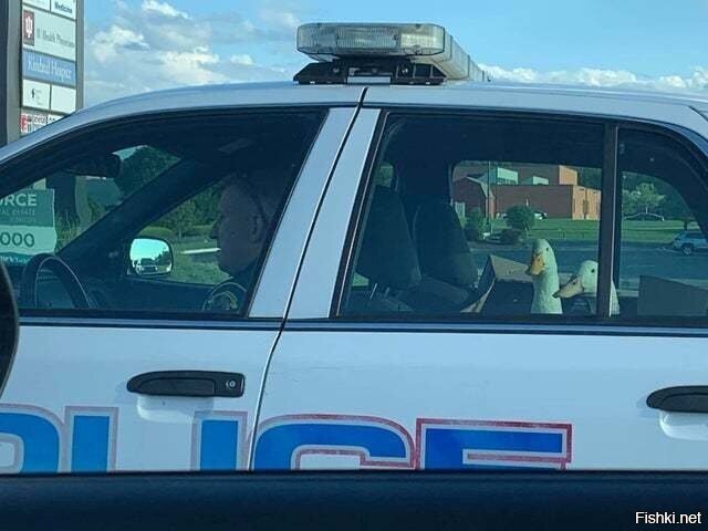 Щипачей повязали