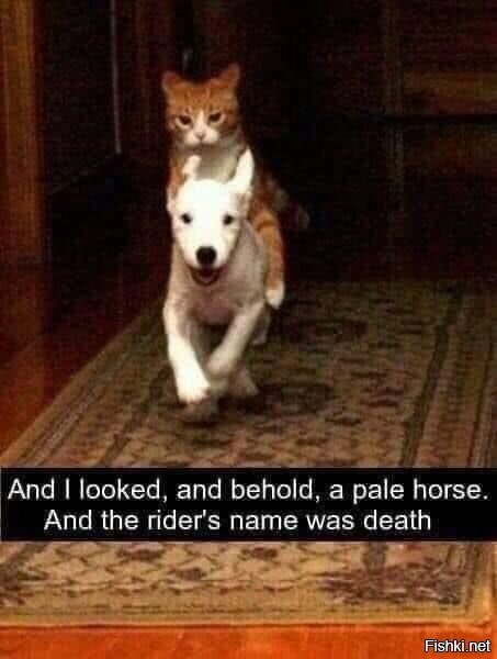 И посмотрел я, и вот, конь бледный