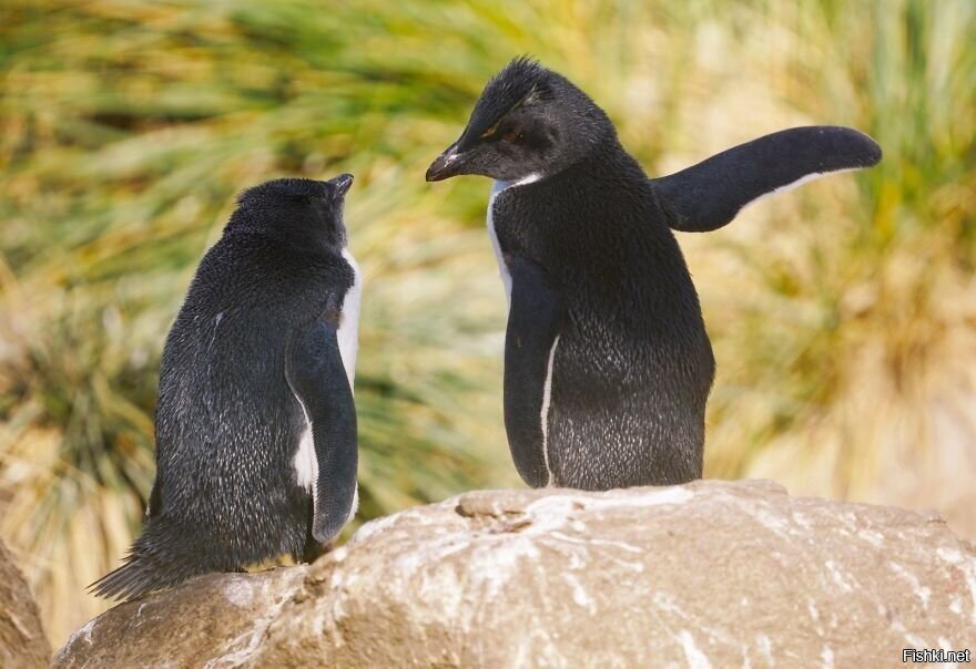Пойдём туда, там наливают