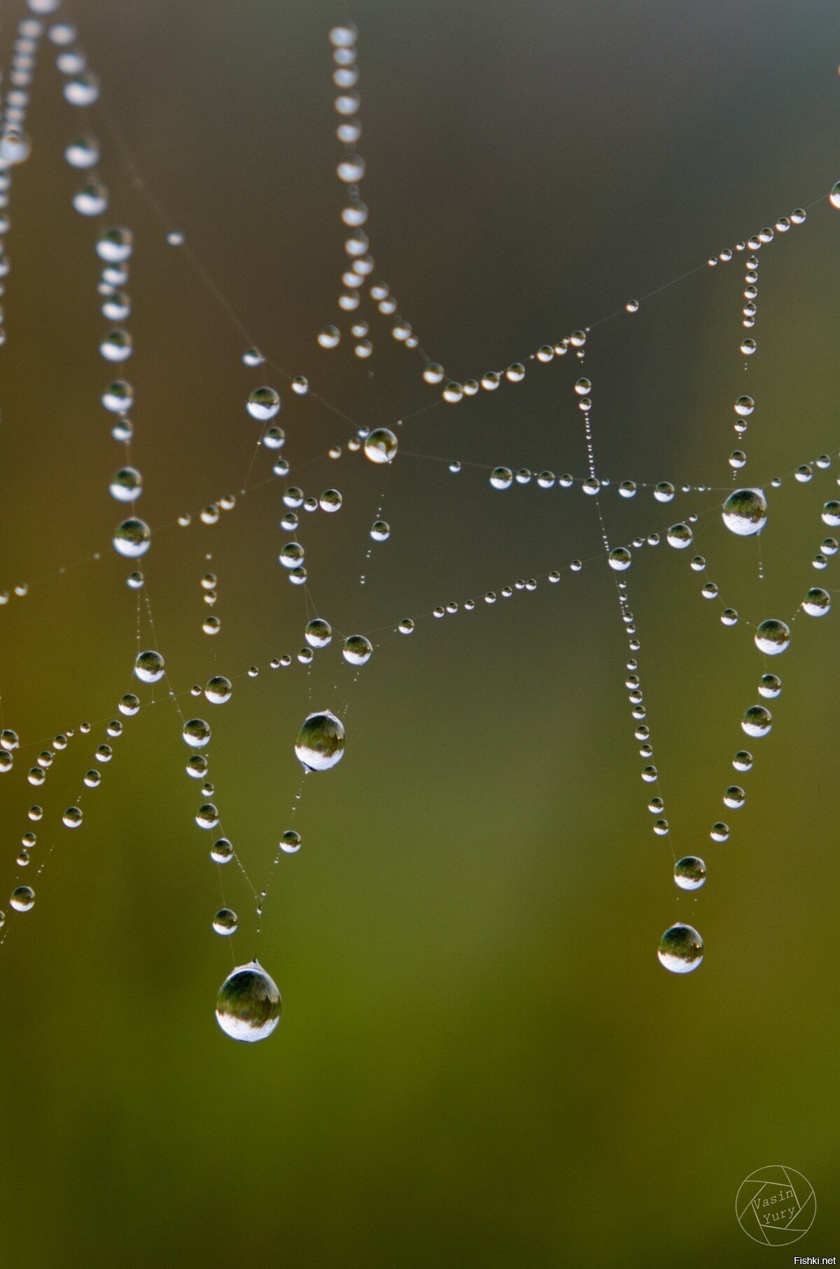 22 августа, Матвей Ненастный