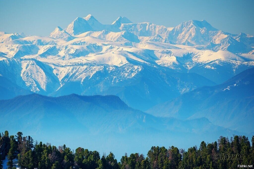 Массив Белухи