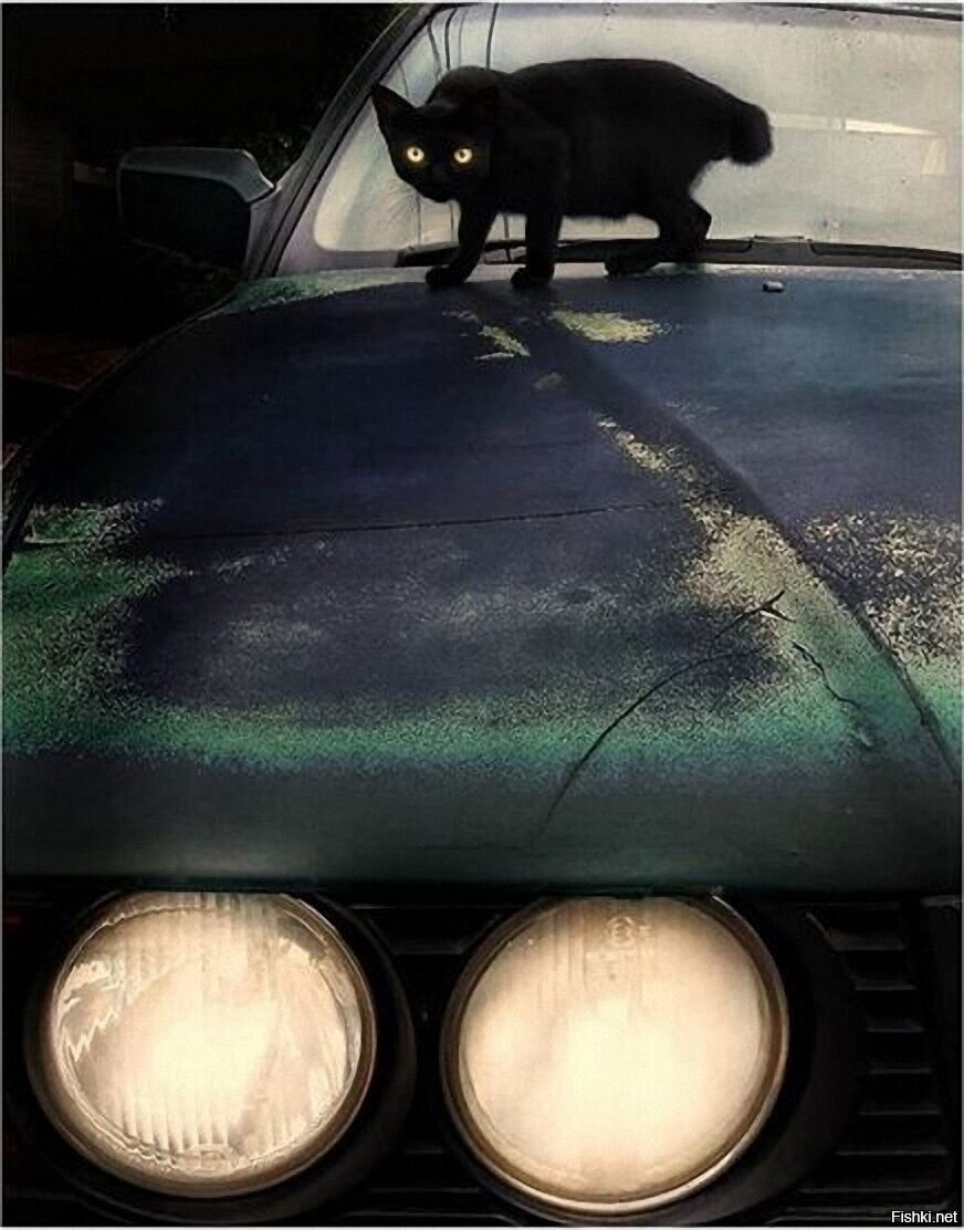 Фотограф из Индонезии Victor Djaja