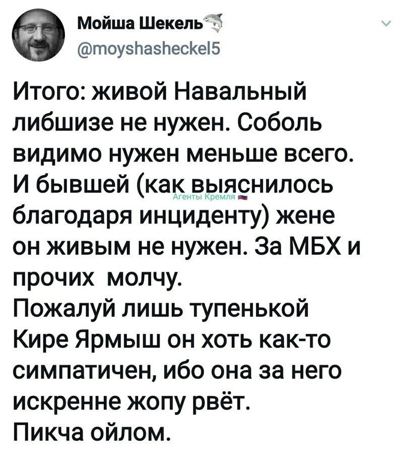 Политические комментарии из инета