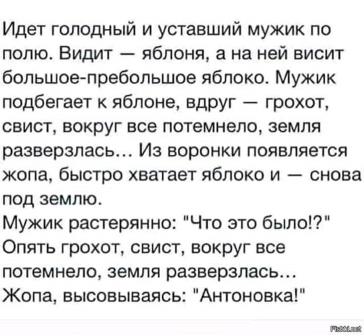 Солянка