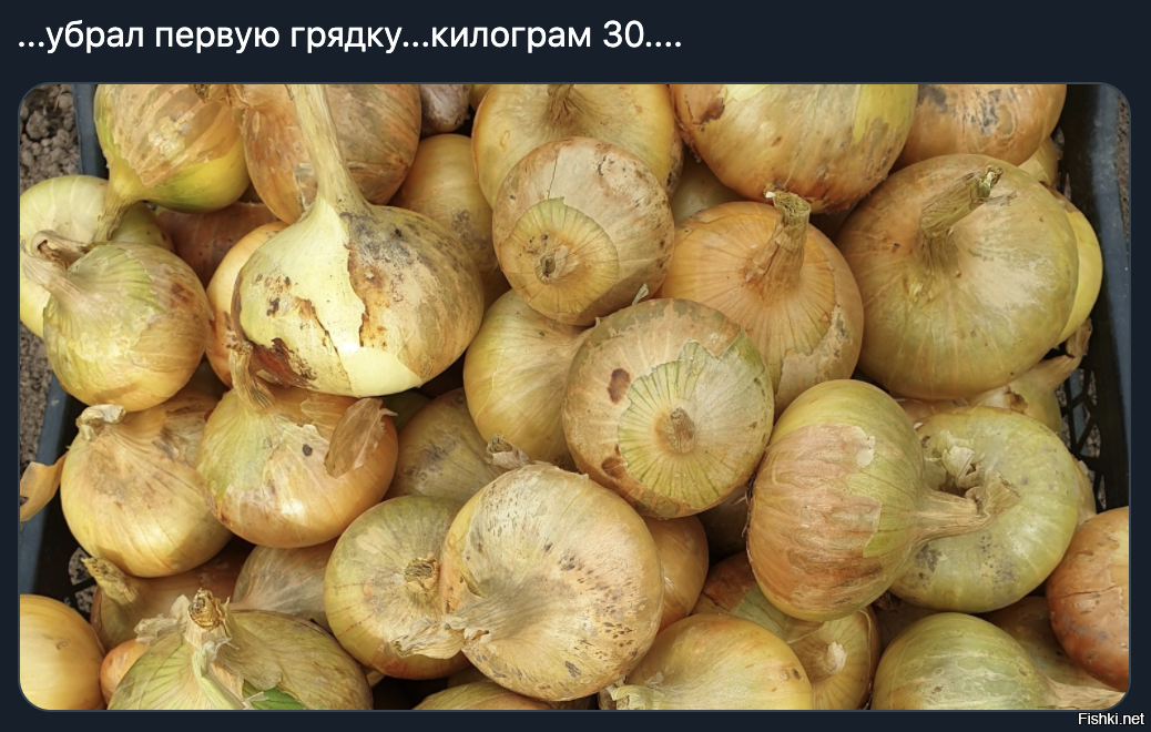 (с)