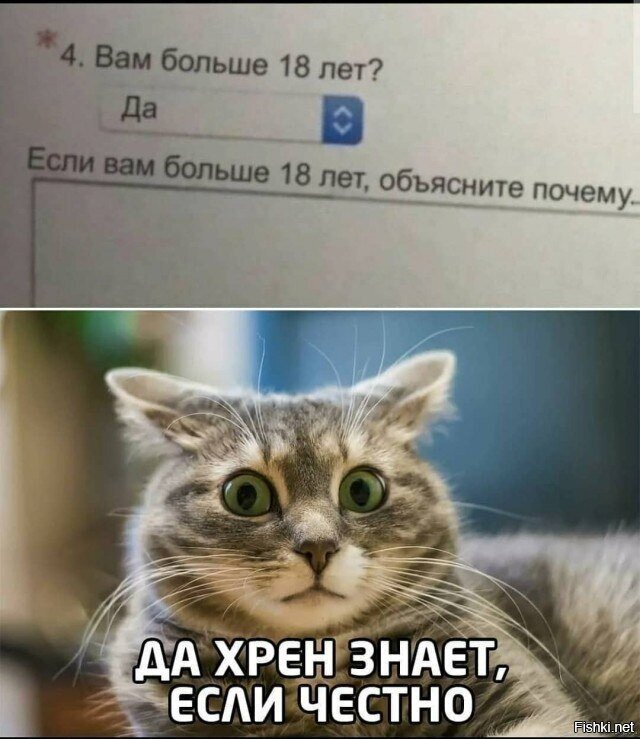 Оно само как-то получилось