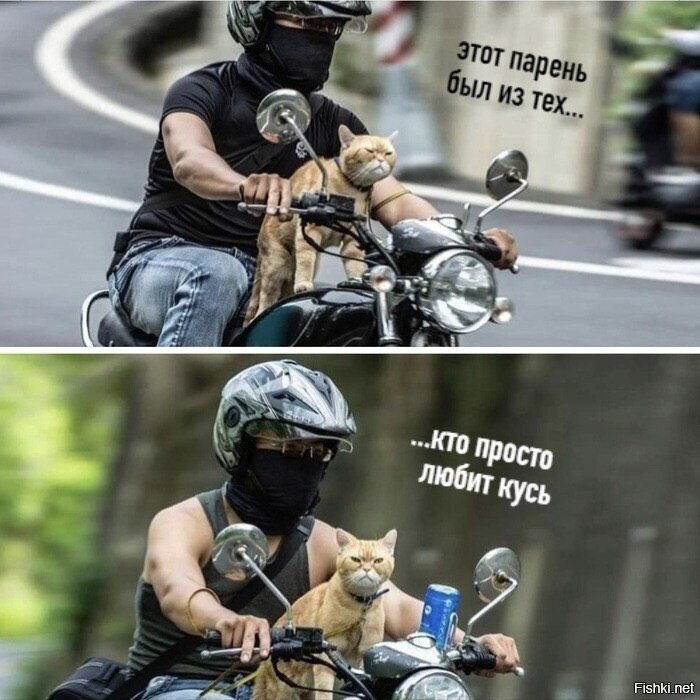 Добрый день