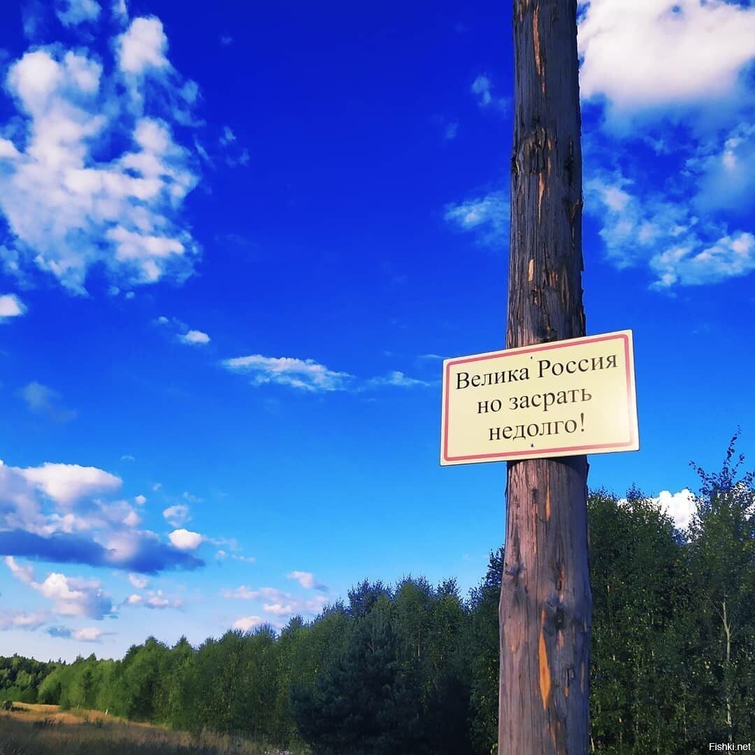 Внезапно в лесу