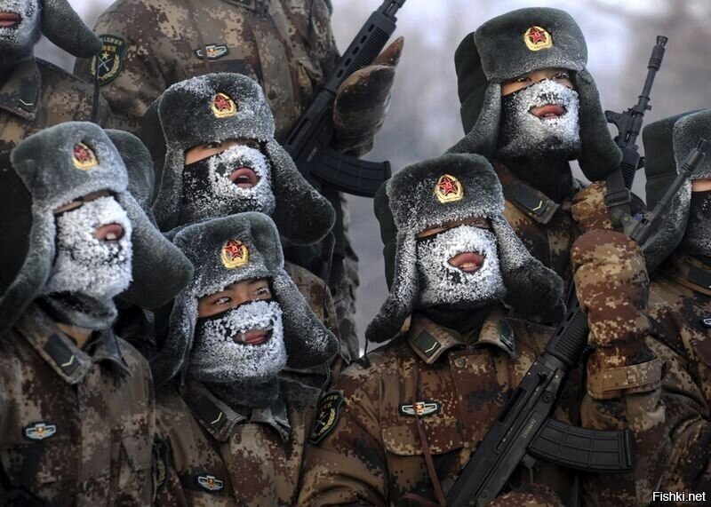 Солянка