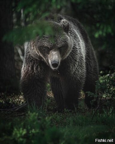 Вот такое утро