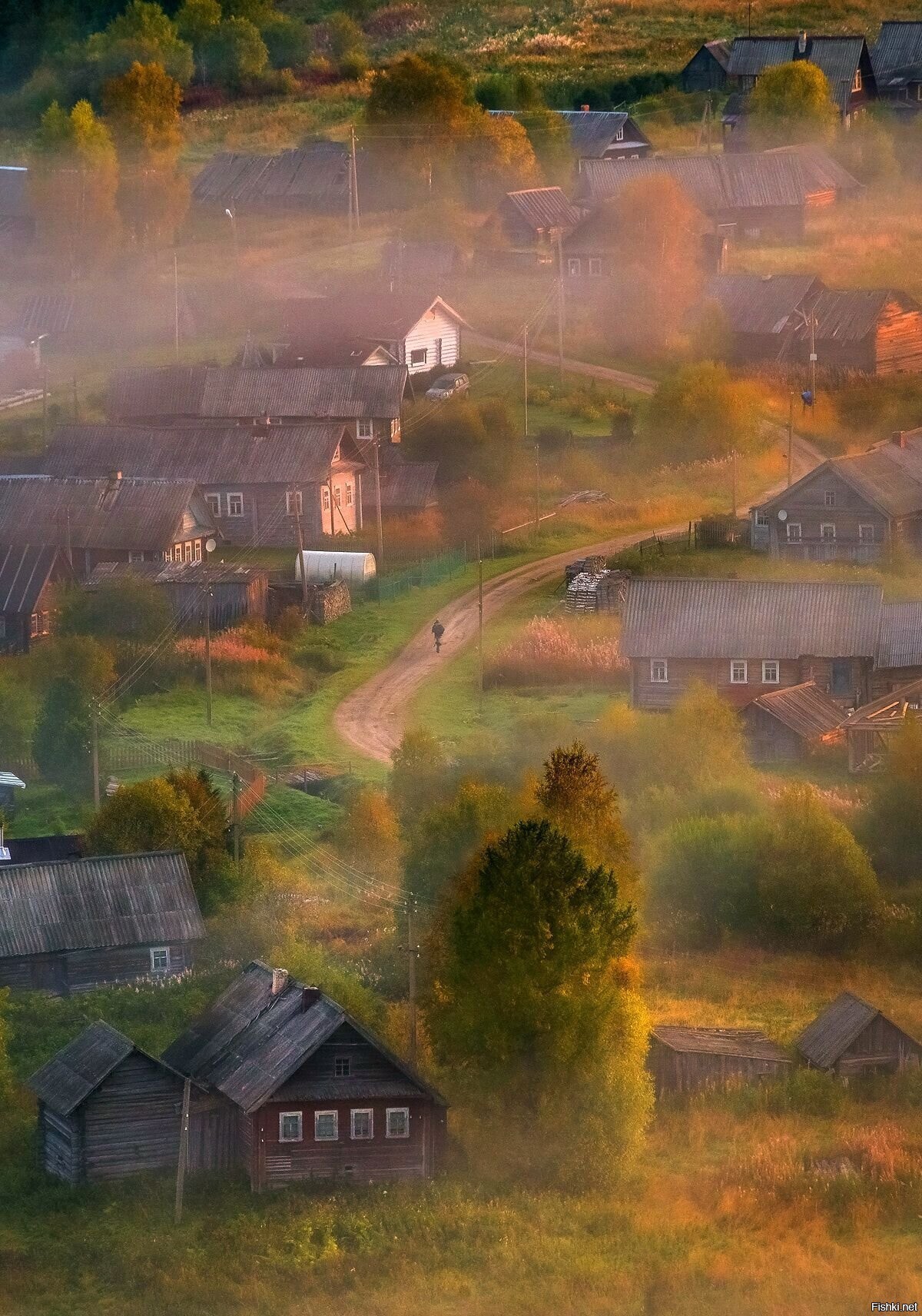 Солянка