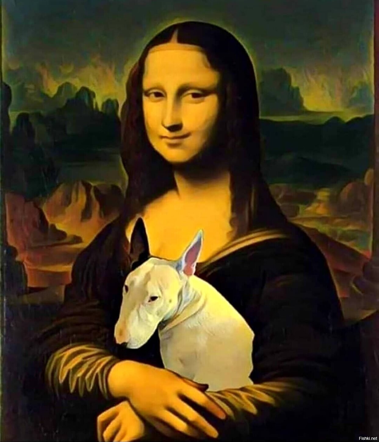 Солянка