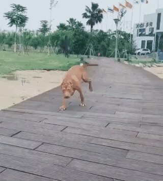 Упс