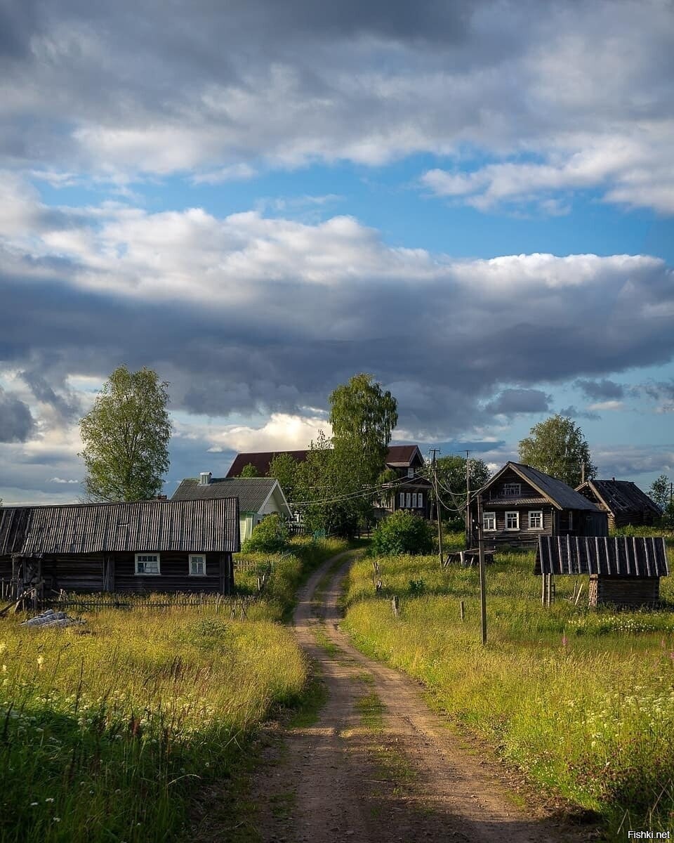 Солянка