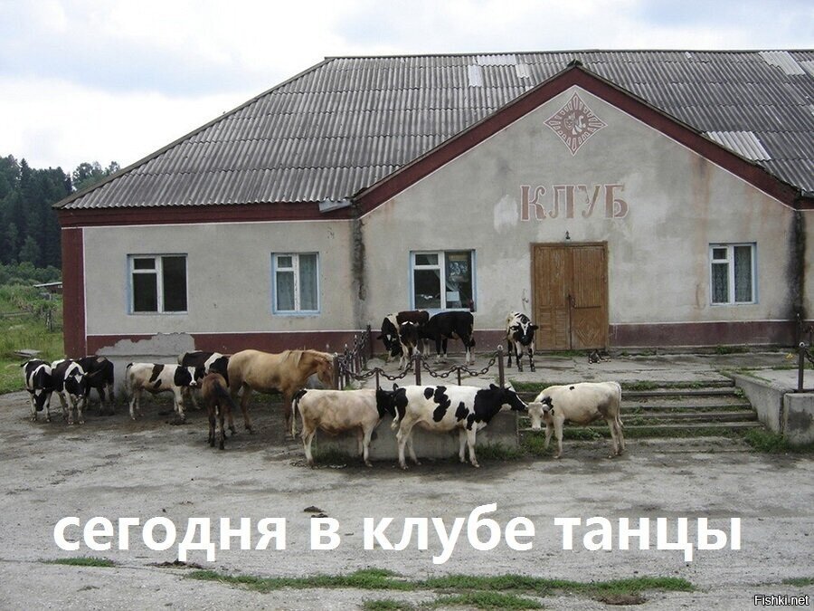 Солянка